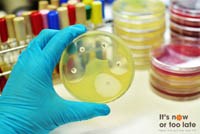 WHO công bố danh mục 12 họ vi khuẩn nguy hiểm nhất đe dọa sức khỏe con người 