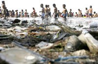 10 sự kiện quốc tế về sức khoẻ môi trường của trẻ em 