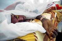 Phòng ngừa bệnh sốt vàng khi đến vùng có dịch bệnh