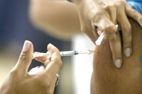 Cập nhật thông tin sốt vàng Brazil 