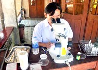 Khó khăn trong quản lý và điều trị sốt rét do Plasmodium vivax