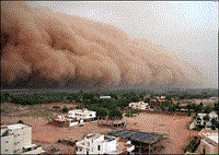 Các bác sĩ phải theo dõi dự báo thời tiết để ngăn chặn dịch bệnh