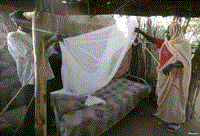 Kenya, Ghana, Malawi được lựa chọn thử nghiệm một loại vaccine sốt rét đột phá