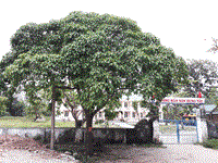 Điểm tin y tế từ các báo ngày 24/4 đến 25/4 năm 2017