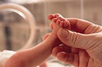 Điểm tin y tế từ các báo ngày 26/4 đến 27/4 năm 2017