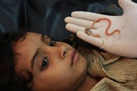 Các ấn phẩm cập nhật về nghiên cứu bệnh thần kinh do ký sinh trùng ở người