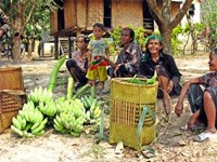 Huyện Hướng Hóa, tỉnh Quảng Trị chủ động và tích cực triển khai nhiều biện pháp ngăn chặn sốt rét gia tăng 