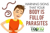 Những thông tin cần biết về ký sinh trùng trong cuộc sống thường ngày