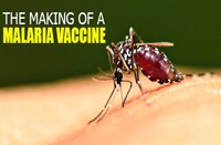 Các thông tin cập nhật về lĩnh vực sốt rét