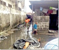 Hầu hết các ca nhiễm sốt dengue lây truyền trong và xung quanh nhà