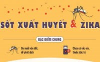 Tăng cường phòng chống “dịch bệnh kép” sốt xuất huyết và zika trong năm 2017