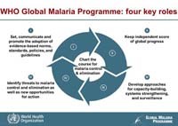Giải pháp chiến lược của WHO trong cuộc chiến sốt rét toàn cầu