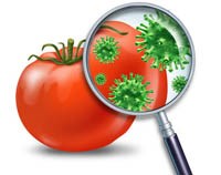 Tổng hợp các nghiên cứu về ký sinh trùng lây truyền qua đường tiêu hóa và thực phẩm 