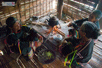 Tình hình sốt rét miền Trung-Tây Nguyên giảm mạnh nhưng nguy cơ cao 