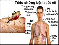 Cập nhật nghiên cứu về chẩn đoán-điều trị sốt rét đăng tải trên tạp chí quốc tế nổi tiếng năm 2016-2017