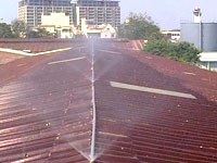 Vòi phun nước giải nhiệt giúp sốt xuất huyết phát triển