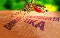 Giám sát lồng ghép 3 trong 1 bệnh do muỗi truyền