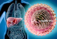 Thông tin y tế thế giới cập nhật liên quan về một số bệnh truyền nhiễm năm 2017