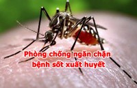 Điểm tin y tế từ ngày 17/8 đến ngày 18/8 năm 2017