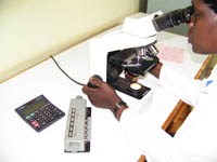 Quy trình đếm xác định ký sinh trùng sốt rét: khâu quan trọng trong chẩn đoán, theo dõi diễn tiến và tiên lượng và đánh giá nhạy-kháng thuốc