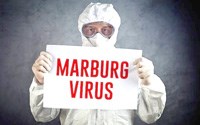 Cập nhật thông tin về sốt xuất huyết do virus Marburg trên thế giới