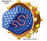 Gần 3 triệu người tiếp cận với thuốc điều trị viêm gan C