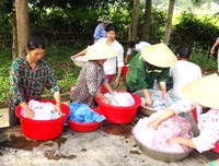 Huyện Gio Linh, tỉnh Quảng Trị- Chú ý  phát hiện sớm, khoanh vùng và xử lý triệt để ổ bệnh                  