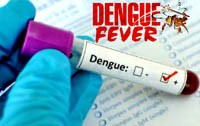 Cập nhật thông tin về sốt xuất huyết dengue trên thế giới và Việt Nam