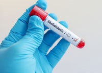 Phần 2: Cập nhật các nghiên cứu chuyên sâu về bệnh withmore hay melioidosis