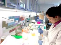 Công cụ mới có thể theo dõi sốt rét kháng thuôc với tốc độ chưa từng thấy và mang tính chi tiết