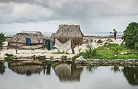 Cơ quan môi trường Liên Hợp Quốc và  Tổ chức Y tế thế giới đồng ý hợp tác lớn về các nguy cơ sức khoẻ môi trường