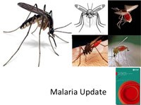 Cập nhật các nghiên cứu về lĩnh vực sốt rét trên thế giới và Việt Nam