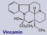 Vincamin dùng để điều trị bệnh gì?
