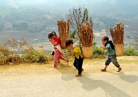 Phòng chống suy dinh dưỡng thể thấp còi ở trẻ em dưới 5 tuổi