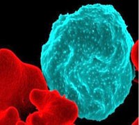 Bằng chứng mới cho thấy tiềm năng của hai loại thuốc ngăn chặn lây truyền bệnh sốt rét