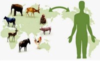 Phần 2. Y học thường thức về phòng chồng bệnh lây truyện từ động vật sang người