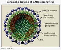 Một số thông tin về bệnh viêm đường hô hấp cấp nặng do vi-rút
