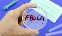 Bệnh sốt xuất huyết do vi-rút Ebola, Lassa hoặc Marburg