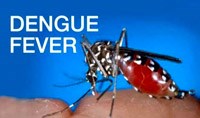 Phần 1. Tổng hợp các công trình nghiên cứu về sốt Dengue, sốt xuất huyết Dengue trên thế giới và Việt Nam