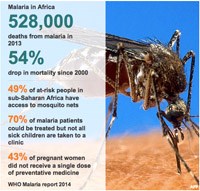 Thông tin cập nhật tình hình sốt rét trên toàn cầu của Tổ chức Y tế thế giới giai đoạn 2010-2016