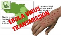 Phần 1. Cập nhật thông tin và tổng hợp y văn về tình hình bệnh nhiễm trùng do virus Ebola