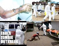 Phần 2. Cập nhật thông tin và tổng hợp y văn về tình hình bệnh nhiễm trùng do virus Ebola