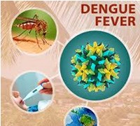 Phần 3. Tổng hợp các công trình nghiên cứu về sốt Dengue, sốt xuất huyết Dengue trên thế giới và Việt Nam 