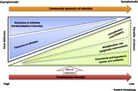 Phần 3. Các nghiên cứu sinh học phân tử trong phát hiện người lành mang ký sinh trùng không triệu chứng: giá trị cốt lõi trong loại trừ sốt rét