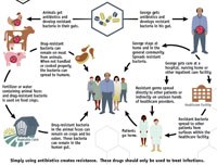 Phần 3. Cập nhật thông tin nghiên cứu về phế cầu Strptococcus pneumoniae kháng thuốc