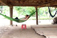 Khó khăn trong phòng chống sốt rét tại Đăk Lắk-Nguy cơ tiềm ẩn “là rừng”