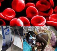 Phần 3. Cập nhật thông tin về sốt rét và thiếu máu