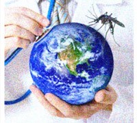 Phần 4. Cập nhật thông tin về nghiên cứu các bệnh do vector truyền trên toàn cầu