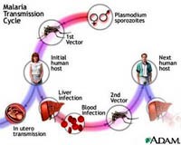 Phần 1. Cập nhật về các nghiên cứu liên quan đến vector sốt rét trên thế giới và Việt Nam