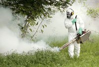 Phần 2: Cập nhật về các nghiên cứu liên quan đến vector sốt rét trên thế giới và Việt Nam